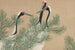 Krähen (Tsuru) - Kamisaka Sekka — Ansicht des Kunstwerks