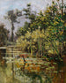 Altwasser mit Enten im Herbst - Karl Hagemeister — Ansicht des Kunstwerks