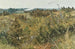 Grez-sur-Loing - Karl Nordström — Ansicht des Kunstwerks