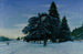 Wintertag in Uggleviken - Karl Nordström — Ansicht des Kunstwerks