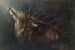 Hirsch sterbend - Karl Wilhelm Diefenbach — Ansicht des Kunstwerks