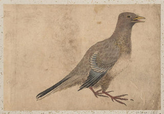 Katsushika Hokusai - Album of Sketches by Katsushika Hokusai and His Disciples Pl31.webp