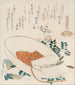 Eine Vielzahl von Gräsern entschlüsseln Chigusagai - Katsushika Hokusai — Ansicht des Kunstwerks