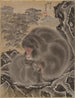 Affen - Kawanabe Kyōsai — Ansicht des Kunstwerks