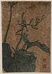 Sauterelle - Keisai Eisen — Ansicht des Kunstwerks