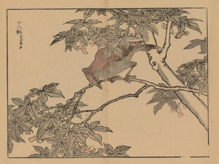 Kno Bairei - Bairei gafu Pl32.webp