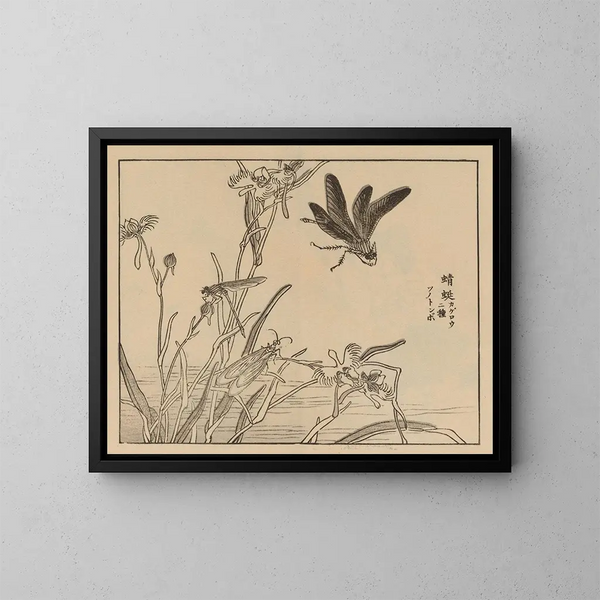 Bairei gafu Pl. 60 - Kono Bairei — gerahmtes Bild an der Wand