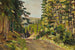Landschaft Sibiriens - Konstantin Alexeïevitch Korovine — Ansicht des Kunstwerks