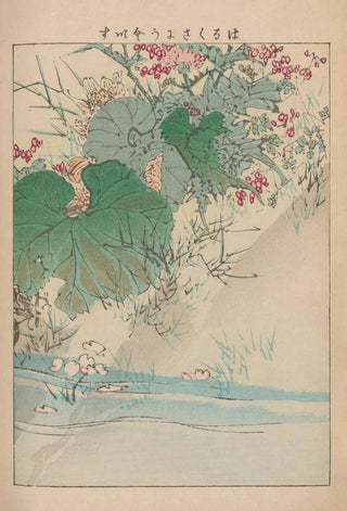 Kotei Fukui - Kacho gafu Pl07.webp