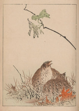 Kotei Fukui - Kacho gafu Pl12.webp