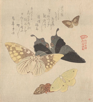 Das Malhandbuch der Schmetterlingswolke Guncho Gafu 4 - Kubo Shunman