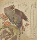 Adler mit einer erhobenen Klammer auf einem Felsen neben einem Azaleenstrauch - Kubo Shunman — Ansicht des Kunstwerks
