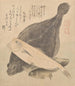 Fischfliesen mit Flunder und drei Karpfen aus der Serie Tosa Diary Tosa nikki - Kubo Shunman — Ansicht des Kunstwerks