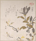Magnolienblüten - Kubo Shunman — Ansicht des Kunstwerks