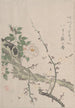 Rosen und Pflaumenblüten - Kubo Shunman — Ansicht des Kunstwerks