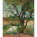 Reproduktion des Gemäldes L'Arbre - Suzanne Valadon