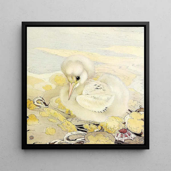 Edward Julius Detmold - The Tropic Bird.webp