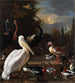 Die schwebende Feder - Melchior d'Hondecoeter — Ansicht des Kunstwerks