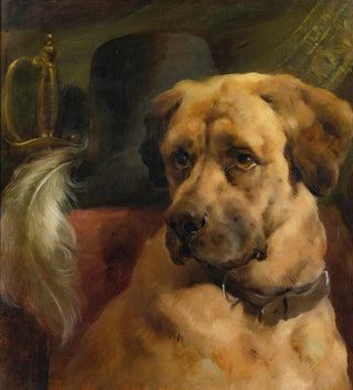 La tête d'un mastin - Edwin Douglas