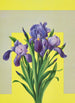 Iris - Lafayette F. Cargill — Ansicht des Kunstwerks