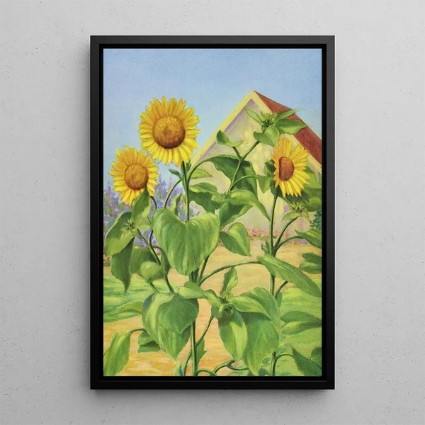 Lafayette F Cargill - Sunflower.webp