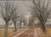 Eine Straße in der Nähe von Vindern, Zealand - Laurits Andersen Ring — Ansicht des Kunstwerks