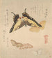 Le Manuel de peinture de Flock of Butterflies Guncho Gafu 3 - Kubo Shunman — Ansicht des Kunstwerks