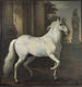 Das Pferd von Karl XI, Brilliant - David Klöcker Ehrenstrahl — Ansicht des Kunstwerks