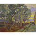 Reproduktion des Gemäldes Der Garten des Krankenhauses Saint-Paul - Vincent van Gogh