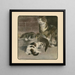 Le livre du chat pl 2 - Elizabeth Fearne Bonsall — gerahmtes Bild an der Wand