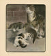 Le livre du chat pl 2 - Elizabeth Fearne Bonsall — Ansicht des Kunstwerks