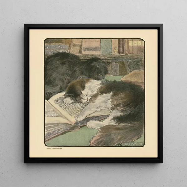 Le livre du chat pl 4 - Elizabeth Fearne Bonsall