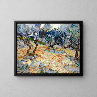 Die Olivenbäume - Vincent Van Gogh