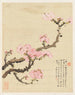 Blumen Pl. 02 - Liang Yuwei — Ansicht des Kunstwerks