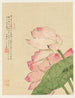 Blumen Pl. 04 - Liang Yuwei — Ansicht des Kunstwerks