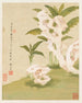 Blumen Pl. 06 - Liang Yuwei — Ansicht des Kunstwerks