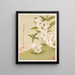 Blumen Pl. 06 - Liang Yuwei — gerahmtes Bild an der Wand