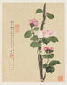 Blumen Pl11 - Liang Yuwei — Ansicht des Kunstwerks