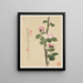 Blumen Pl11 - Liang Yuwei — gerahmtes Bild an der Wand