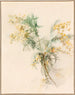 Mimosas - Lilly Walther — Ansicht des Kunstwerks