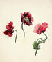 Mooniied - Lilly Walther — Ansicht des Kunstwerks