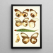 Novitates zoologicae pl 1 - Lionel Walter Rothschild — gerahmtes Bild an der Wand