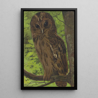 LoPaul Robert - ChatHuant.webp