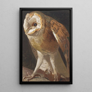 LoPaul Robert - Effraie.webp