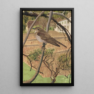 LoPaul Robert - GobeMouches Gris.webp