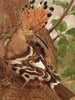 Huppe - Léon-Paul Robert — Ansicht des Kunstwerks