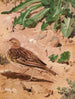 Pipit farlouse - Léon Paul Robert — Ansicht des Kunstwerks