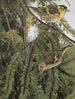 Collection - Léon Paul Robert — Ansicht des Kunstwerks