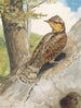 Torcol - Léon Paul Robert — Ansicht des Kunstwerks
