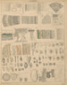 Illustrationen für die Allgemeine Naturgeschichte von Oken für alle Klassen Pl002 - Lorenz Oken — Ansicht des Kunstwerks